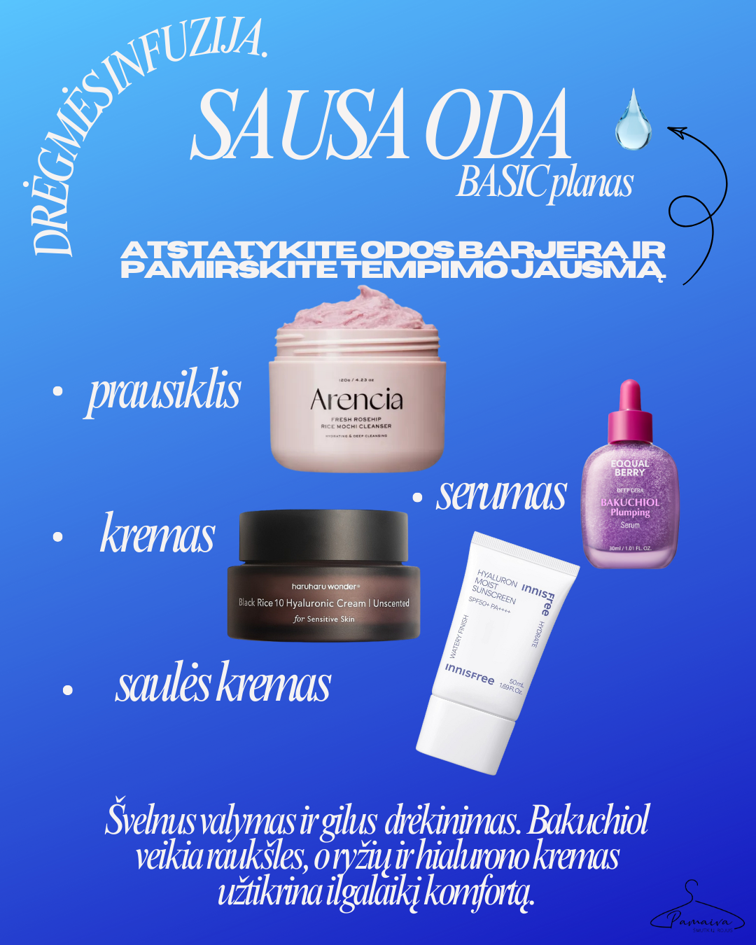 SAUSA ODA / BASIC planas