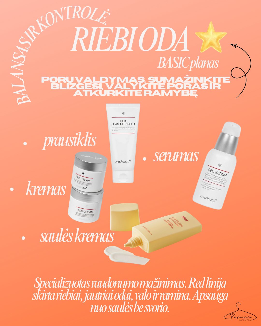 RIEBI/jautri ODA / BASIC planas